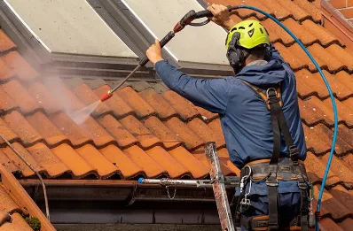Démoussage et hydrofuge de toiture à Sauverny
